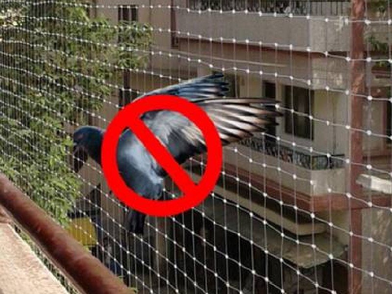 Pigeon Nets in Bangalore | Call 7892535129 for More Info