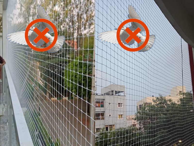 Pigeon Nets in Bangalore | Call 7892535129 for More Info